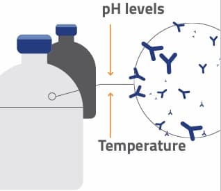 Plasma in a temperature safe container.