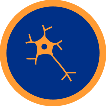 Nerve cell icon.