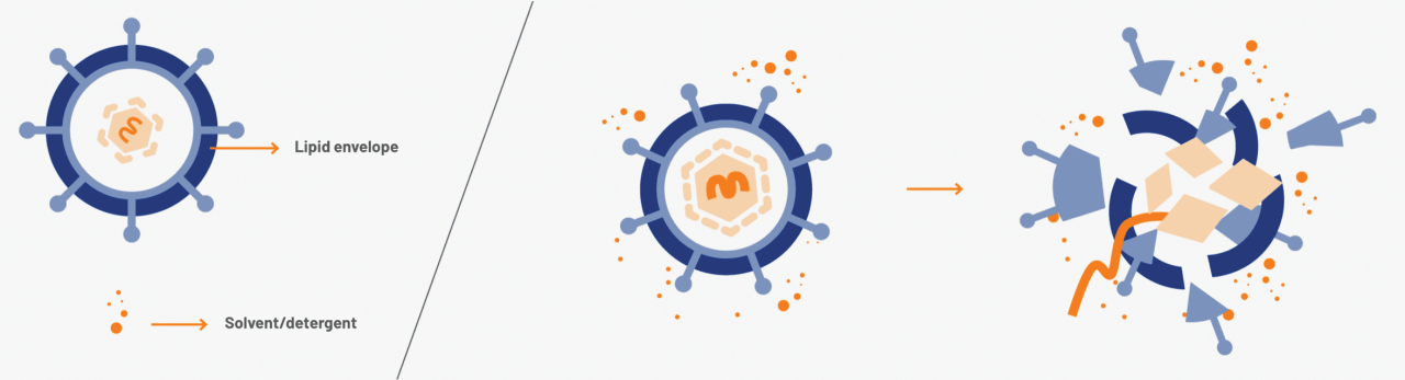 Solvent/detergent infographic.