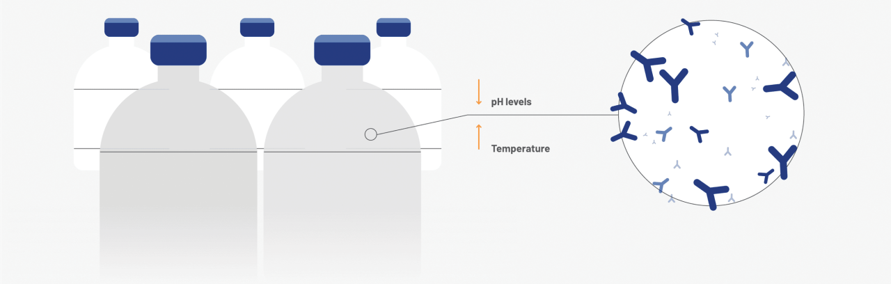 Incubation infographic.